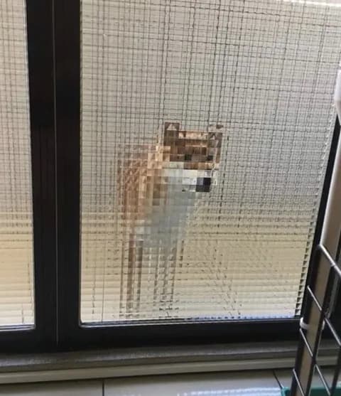 保存した中で一番最新の画像貼ってけ