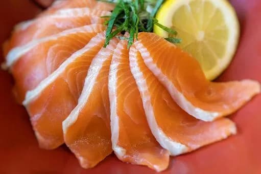 【急募】サーモンがマグロに勝った理由ってなに？ｗｗｗｗｗｗｗｗｗｗｗｗｗｗｗｗ