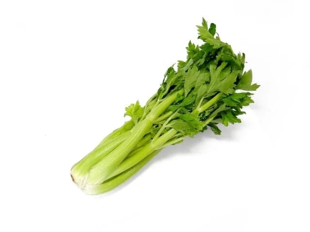 セロリとか言う緑野菜で一番不味い雑草