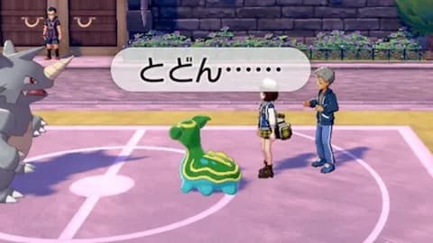 【朗報】いちばんかわいいポケモン、決まる