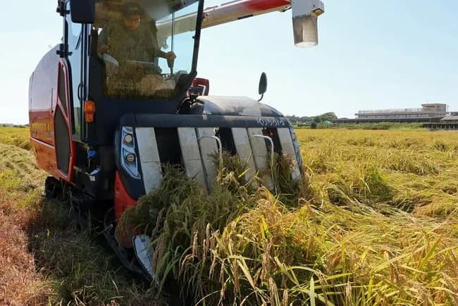 米農家「JAの米買い取り価格が倍以上になった。『消費所の皆さん、ごめんなさい』と内心謝ってます」