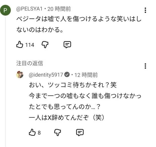 【超悲報】DB芸人完全終了、ベジータと悟空決別