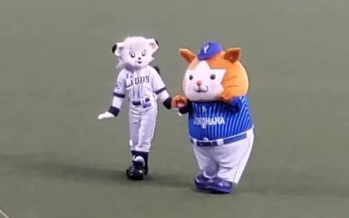 DeNA球団社長、西武に人的補償を求める可能性を示唆「捕手と外野は当初の想定から薄くなってるところ」