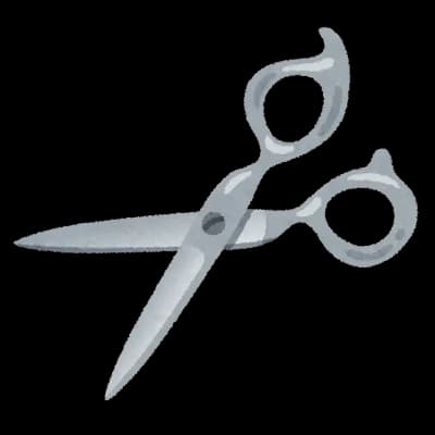 交際相手をハサミで刺して殺した女「ハゲすぎる。やっぱり毛がある人がいい」