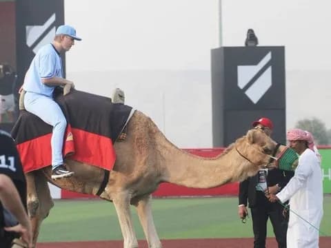 【野球】中東初のプロ野球リーグが描く奇想天外な新たな野球　ラクダで入場、マネーボール、ファイアーボール...