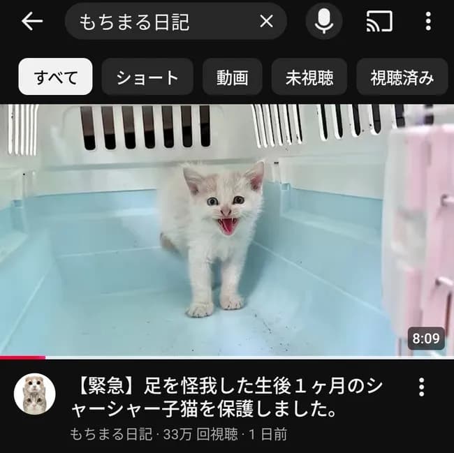 【悲報】もちまる日記「足の折れた生後1か月の子猫を保護しました！」→炎上