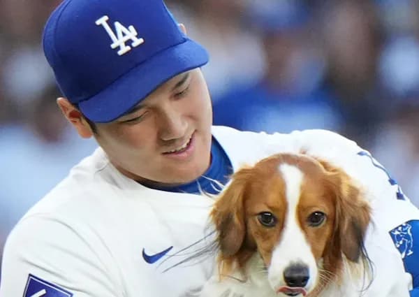 大谷出場WBCチケット高額転売アイドル怒り「臨、兵、闘、者、皆、陣、列、在、前、滅！」