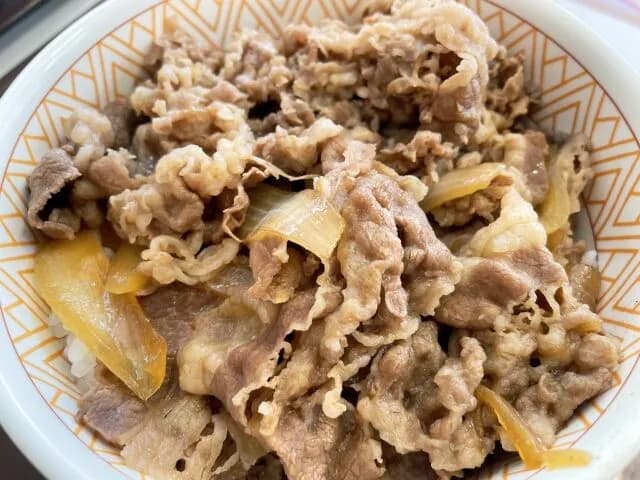 すき家は結局「牛丼」に落ち着くよな