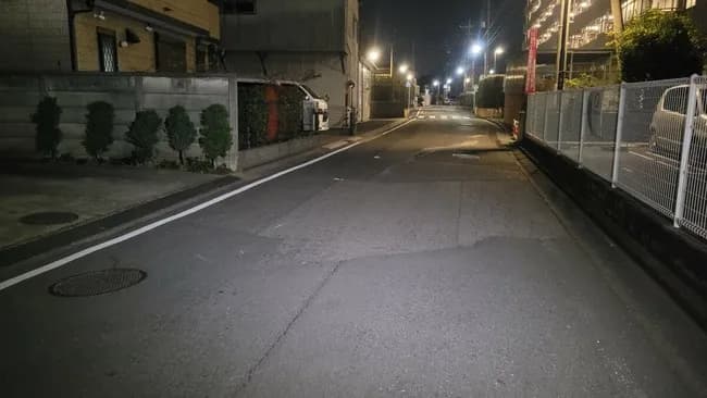 【悲報】小6女児が歩行中に倒れ車にひかれ死亡　運転手の男逮捕