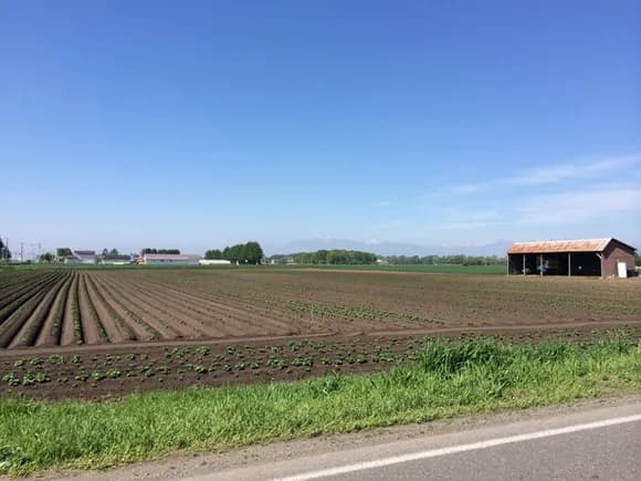 【動画】田舎のダンジョンみたいな街の作りｗｗｗｗｗｗｗｗｗｗｗｗｗｗｗｗ