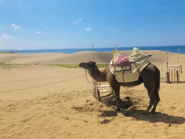 鳥取県←なに思い浮かべた？