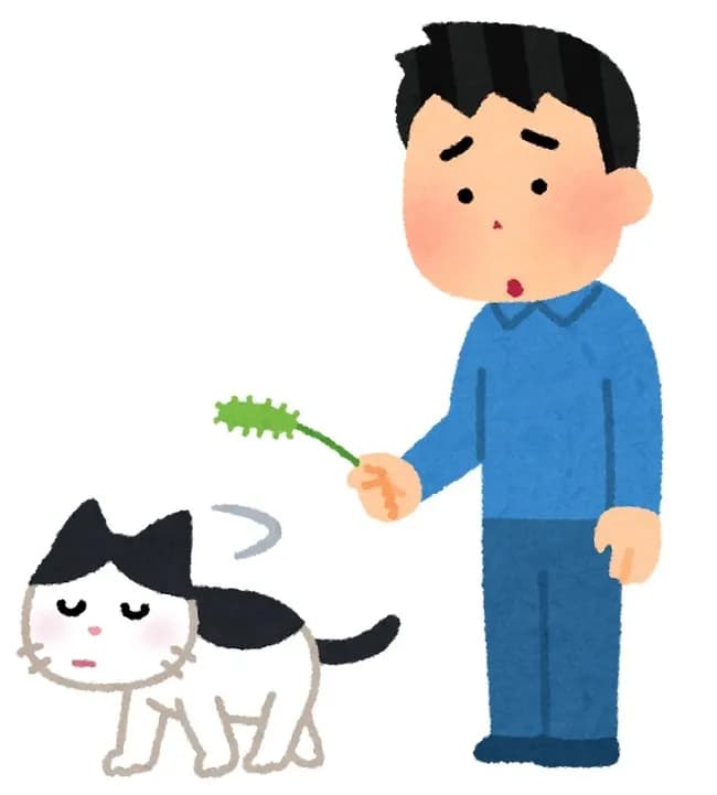 猫に好かれる方法って難しくね？
