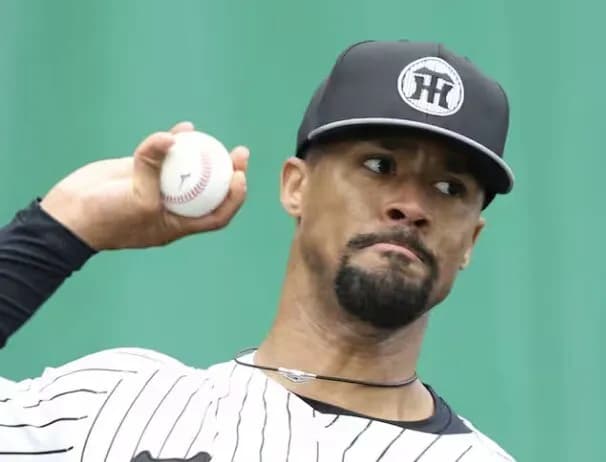 デュプランティエ(90イニング)←これ来年どうやって埋めるの？下村？