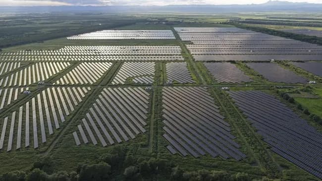 【悲報】政府、メガソーラーを廃止へ