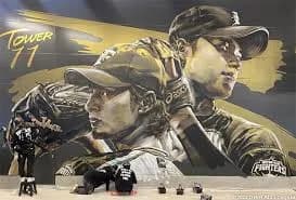 ダルビッシュ、大谷『僕達、日ハム11番です』←これもう永久欠番しかないやろ