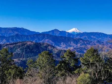 【急募】今日暇やから「高尾山」行ってもええか？ｗｗｗｗｗｗｗｗｗｗｗｗｗｗｗｗ
