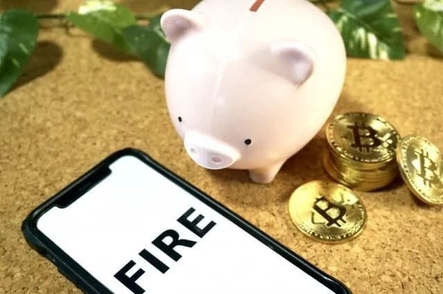 FIRE←いうほど幸せか？