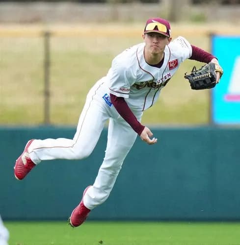 辰己涼介さん、いまだに手をあげる球団がない