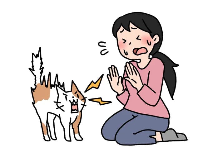 ネコと仲良くなる方法