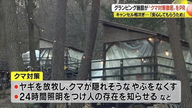 クマのせいでキャンセルが相次ぐキャンプ場、クマが出たら宿泊料金の2倍返金キャンペーン開始！
