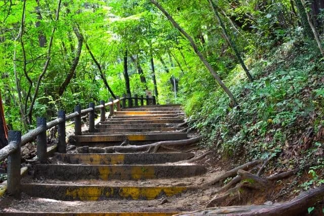 標高599mの高尾山「疲れて下山できない」遭難者が多発する"富士山より危険な山"だった…
