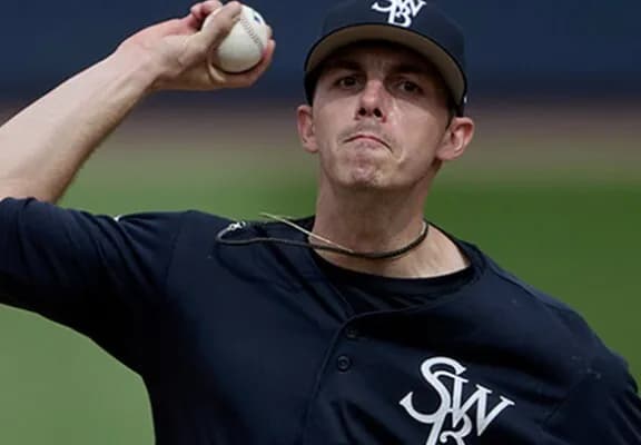 新外国人アラン・ワイナンス投手(30) 99.1回 105奪三振 防御率1.63