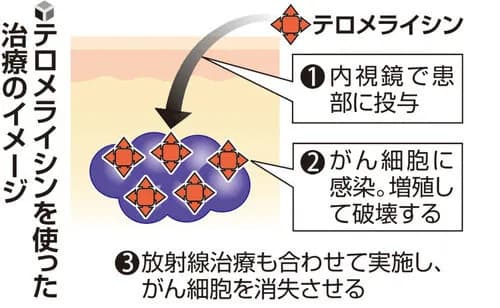 癌細胞だけを殺すウイルスを岡山大が発見！ 治療薬として既に厚労省に申請済み