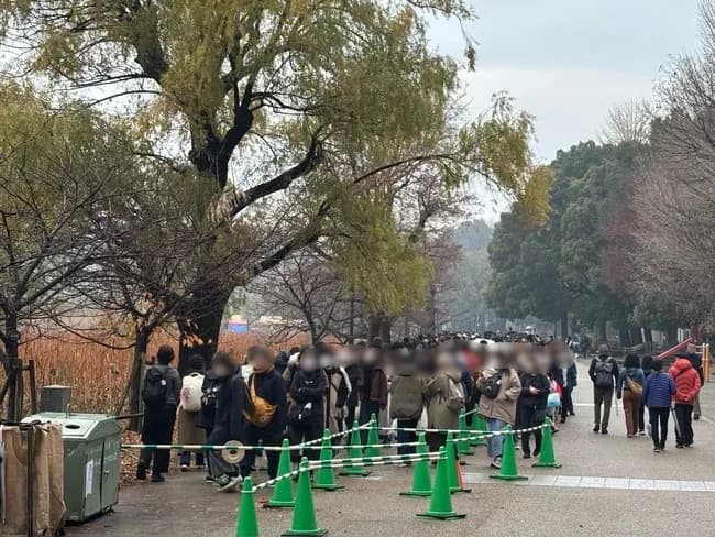 【画像】上野動物園のパンダ待ち行列、地獄ｗｗｗｗｗｗｗｗｗｗｗ