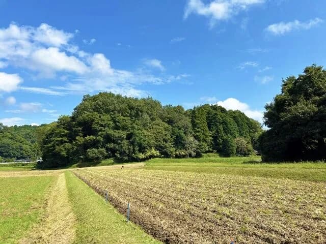 田舎に住んでる奴の楽しみって何なん？