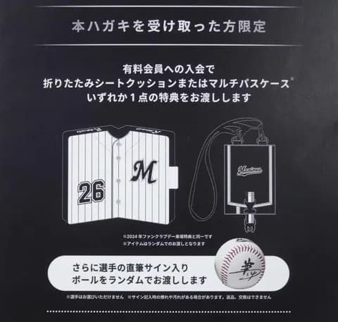 千葉ロッテが有利誤認疑い、サインボールもらえず　改善計画認定