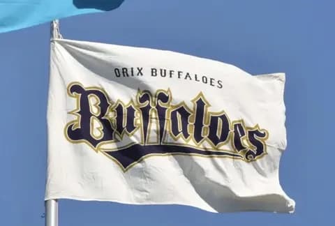 オリックス、酷暑対策として来季以降の2軍主催試合をナイター開催する計画と京セラ人工芝張り替えする模様