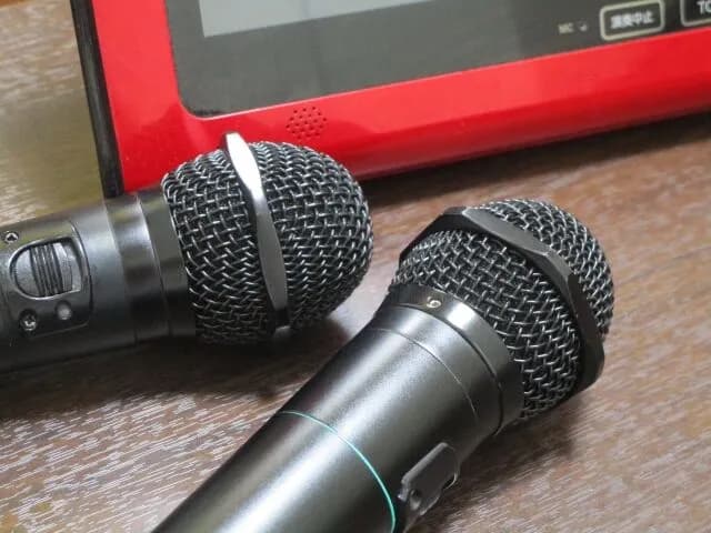 カラオケでほぼ必ず歌う曲