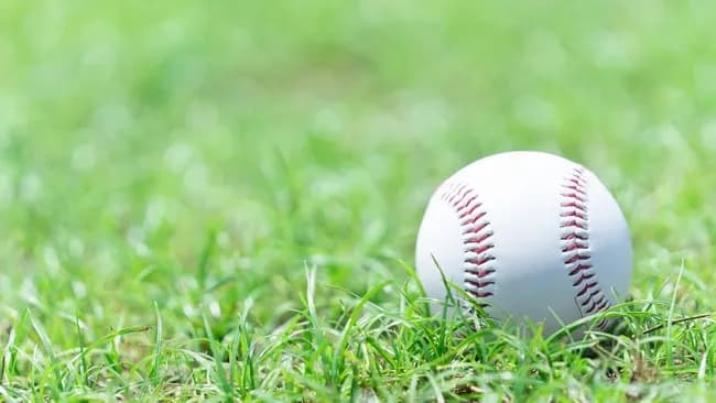 ワイ「NPB16球団構想に賛成」敵A「場所は？」敵B「レベルは？」敵C「どこの企業がやりたがるねん」