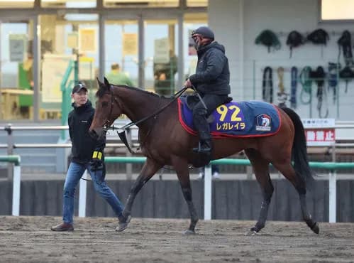 【有馬記念】 レガレイラが悪の陣営みたいになってて悲しいわ
