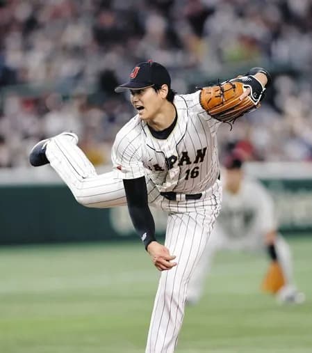 WBC、Netflixは制作ノウハウがないため日テレに委託するもよう