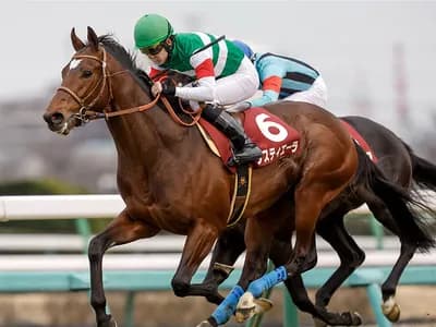 有馬記念　タスティエーラの取捨選択