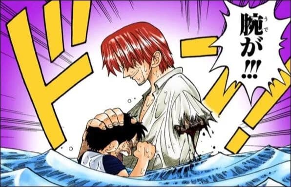 割とマジでシャンクスの喰われた腕に設定後付けしたっぽいけど