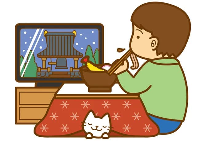 お前ら大晦日はどうやって過ごすの？