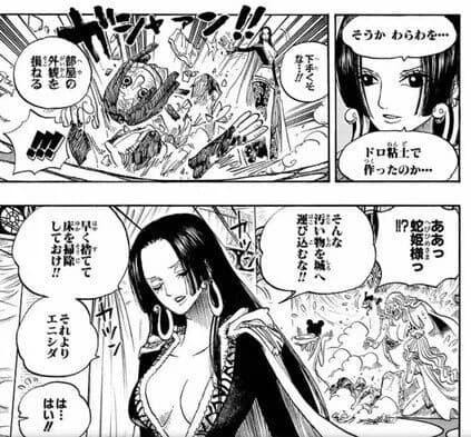 ボア・ハンコック「猫蹴り飛ばしたり子供の作った像破壊したり商船略奪してます」