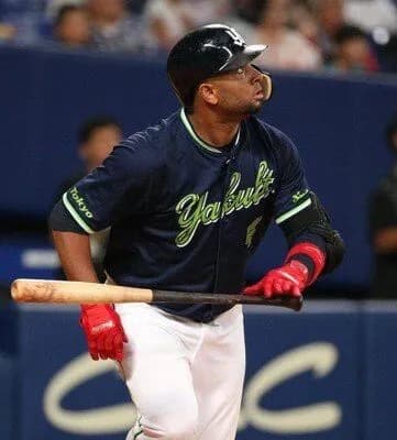 バレンティン、ウッズ、ペタジーニ、黒ローズ、カブレラ←全盛期で加入させるなら誰が最強？