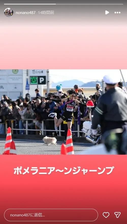 【箱根駅伝】「ポメラニアンが乱入しなければ國學院大学は優勝争いができた可能性」←これ