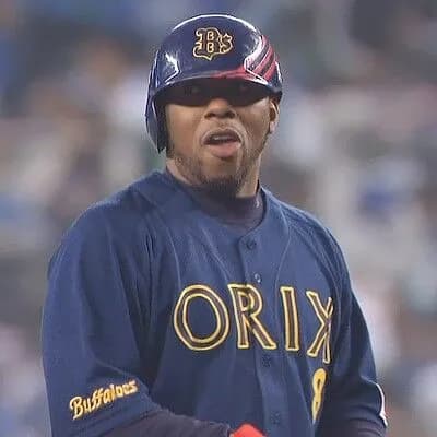 タフィ・ローズ←こいつのNPB13年の成績