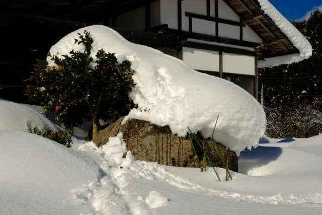 雪国の人って洗濯物どこに干してんの？