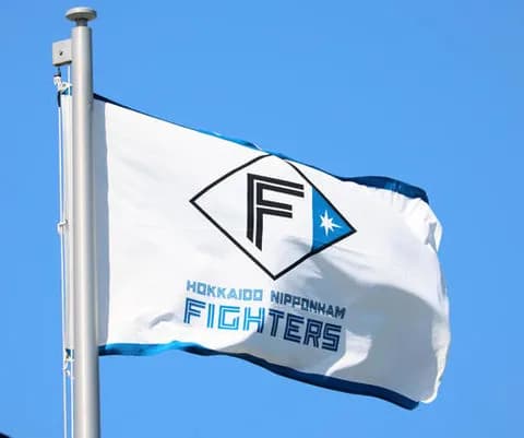 【日本ハム】26年ファイターズガール発表　キャプテンは駒野稀子　計27人で活動