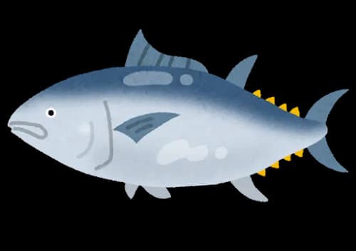 5億円超！そもそも…「一番マグロ」って何？なにが1番？“二番マグロ”の驚き価格　1本275万円