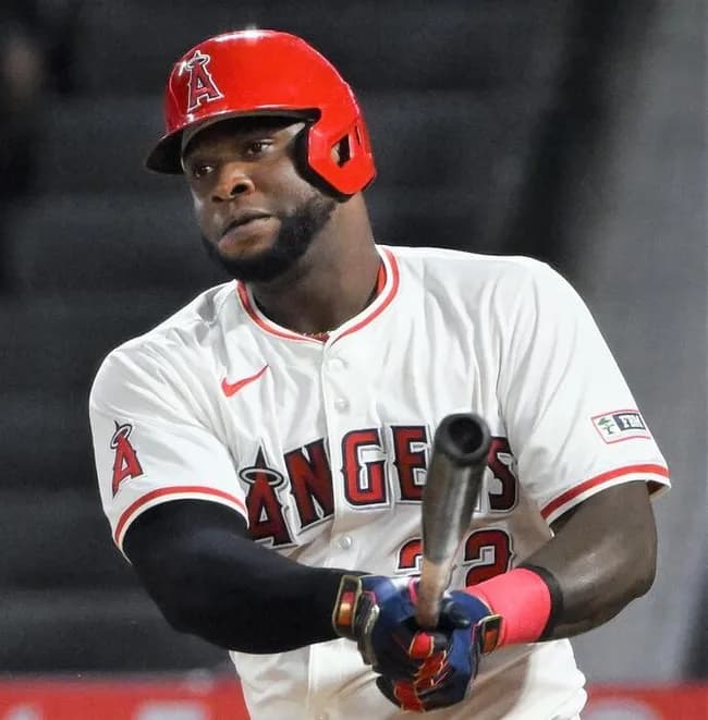 中日が獲得したサノーって信じてええんか？