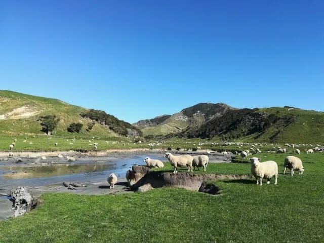 立地ガチャSSSSの国ってどこよ？？？？