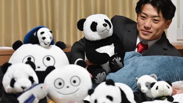 カープドラ3勝田成(なるる)、パンダのぬいぐるみ大量持参ｗｗｗ