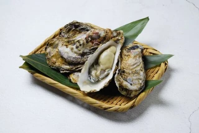 牡蠣(おいしいです、海のミルクです、プリプリです)←この貝