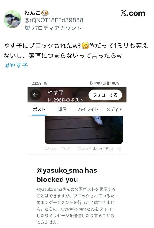 【悲報】芸人やす子、「つまらない」と言った一般人をブロックしてしまう